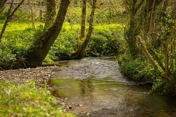 If you are lucky you may spot a kingfisher down by the stream...
