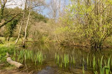 This is a haven for wildlife and a wonderfully restful place to pass a tranquil hour or two.