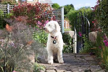 Why not bring your furry friend with you, Bay View is pet friendly!