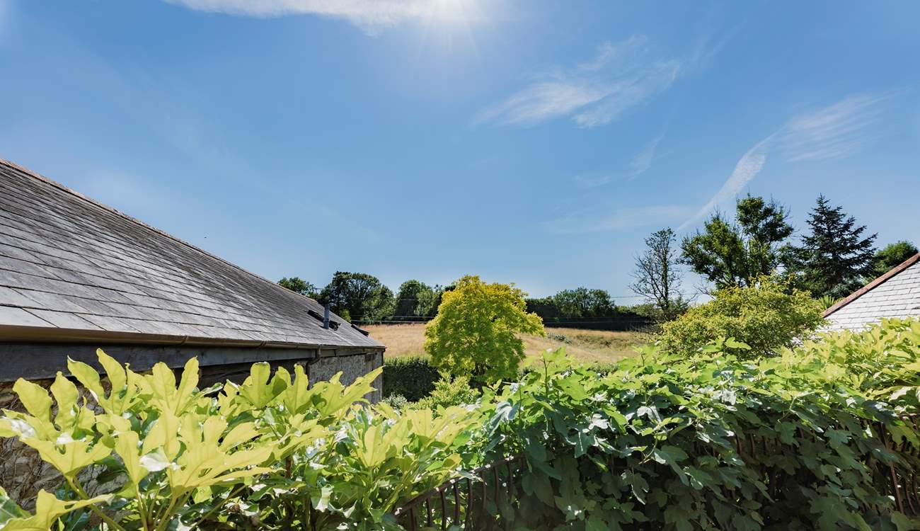 The glorious countryside.