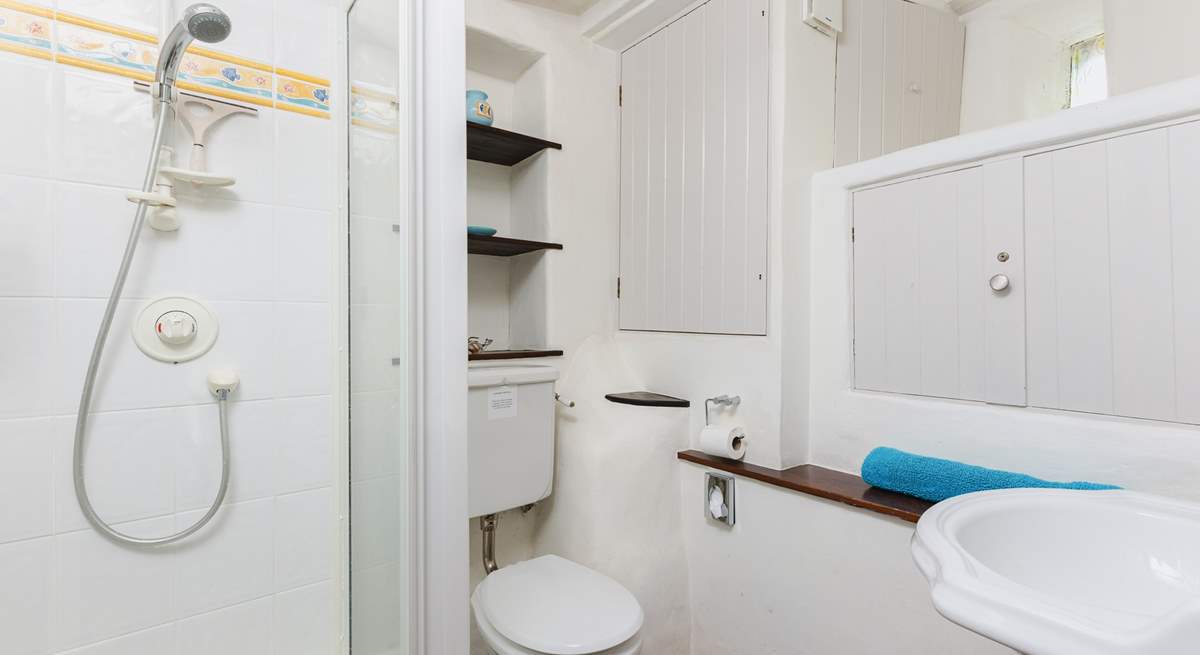 The handy ground floor shower-room.