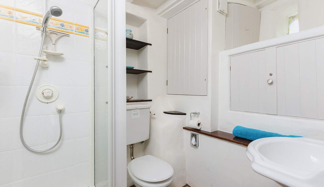 The handy ground floor shower-room.