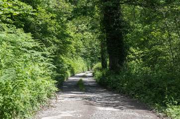 The driveway leading up to Oak Cottage requires a 5mph speed limit due to the un-even and bumpy surface.