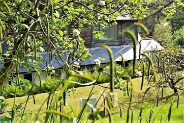 The Nod also benefits from an outside lawn-area and sun beds.