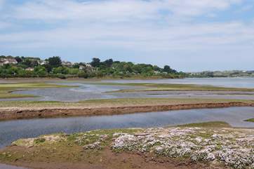 Nearby Hayle Estuary is a bird watchers' paradise.