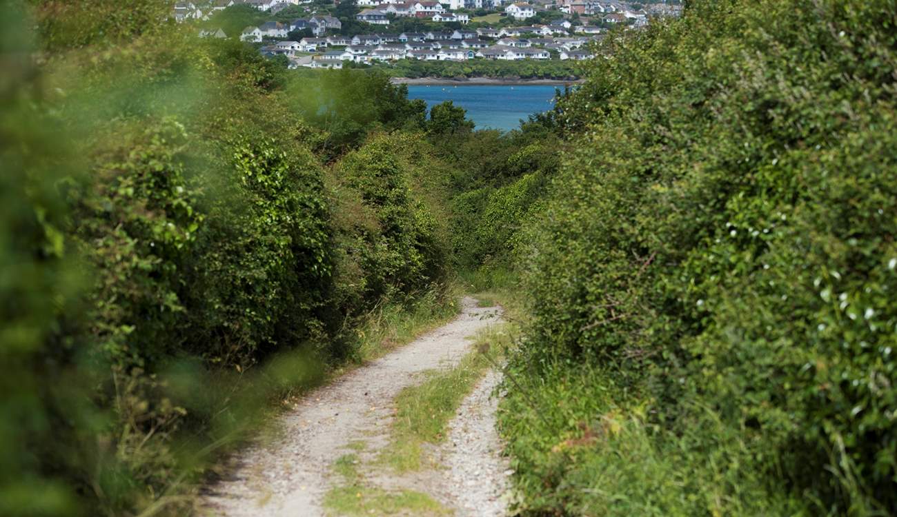 This is the track that leads down to the Camel Trail.