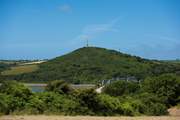 You can see part of the Camel Trail from the hut and garden.