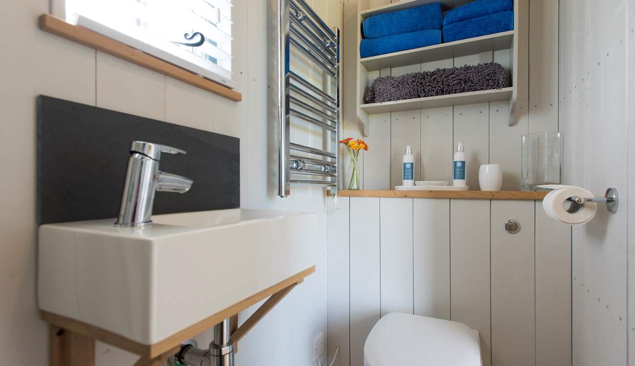 The stylish shower-room.