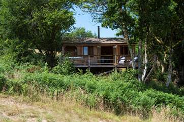 A view of delightful King's Cabin from the field below.