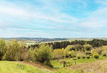 Magical woodland and rolling hills, the perfect combination