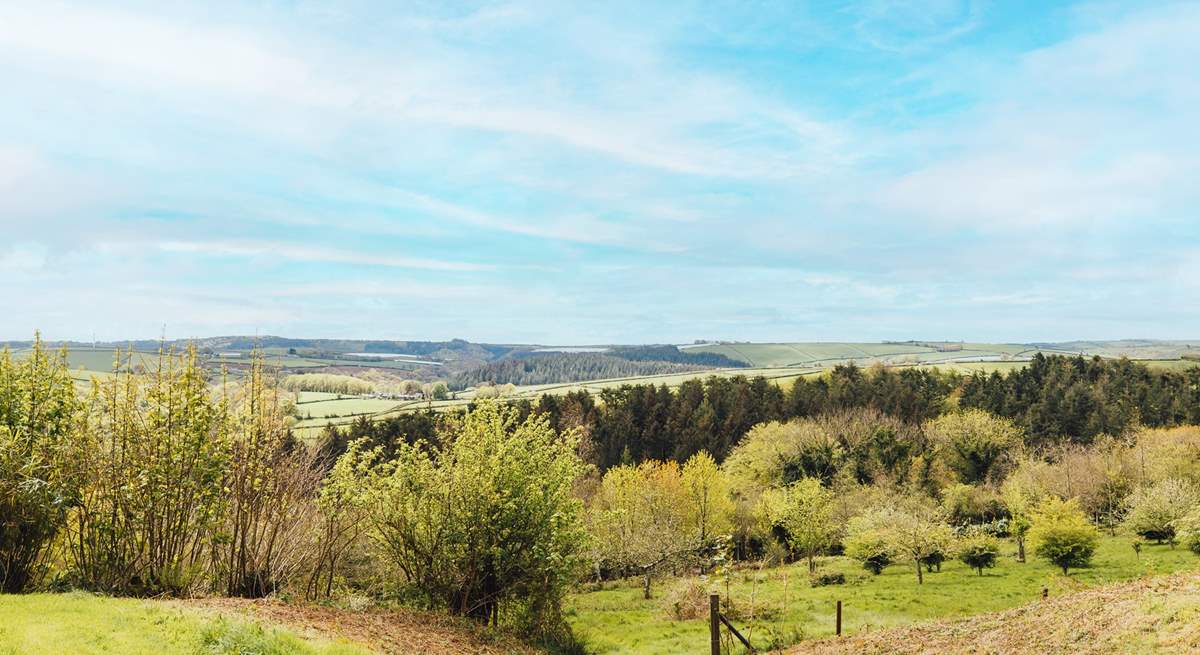 Magical woodland and rolling hills, the perfect combination