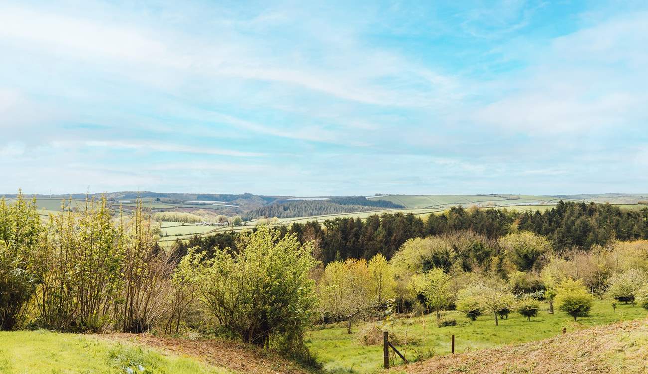 Magical woodland and rolling hills, the perfect combination