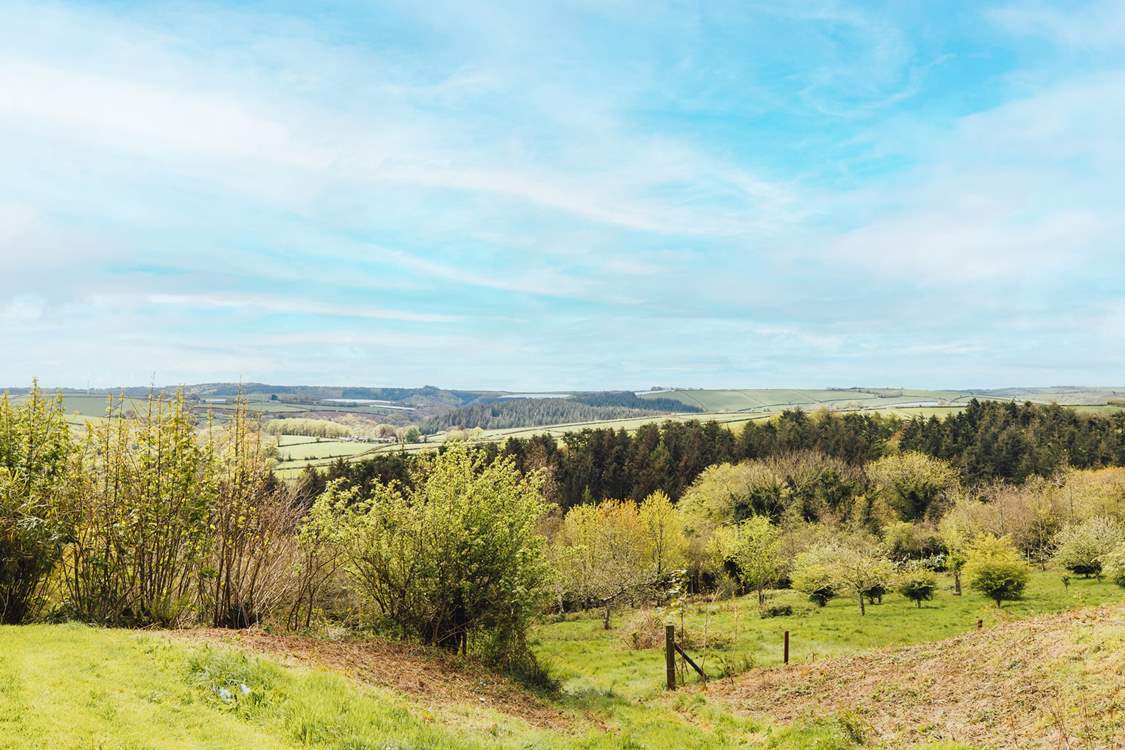 Magical woodland and rolling hills, the perfect combination