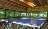 Table-tennis - always a holiday favourite. - Thumbnail Image