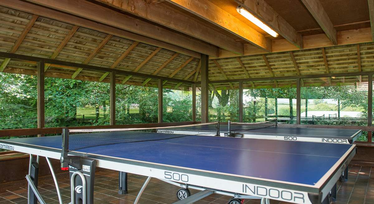 Table-tennis - always a holiday favourite.