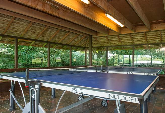 Table-tennis - a real holiday favourite.