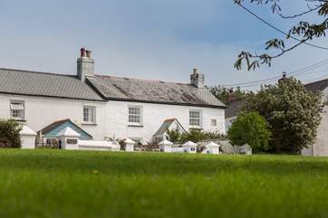 Looking back across the green towards End Cottage.