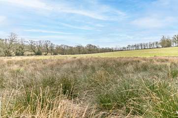 Surrounded by blissful countryside, relax and enjoy the peace and quiet.