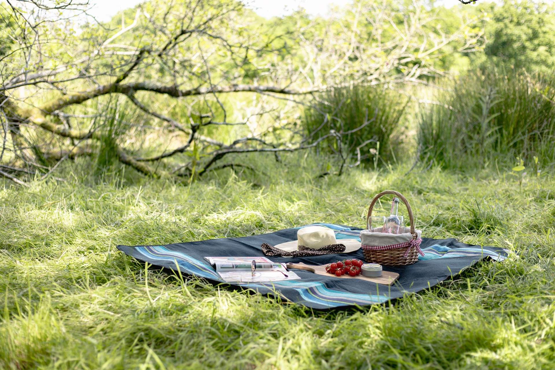 There are so many picnic spots you can enjoy.
