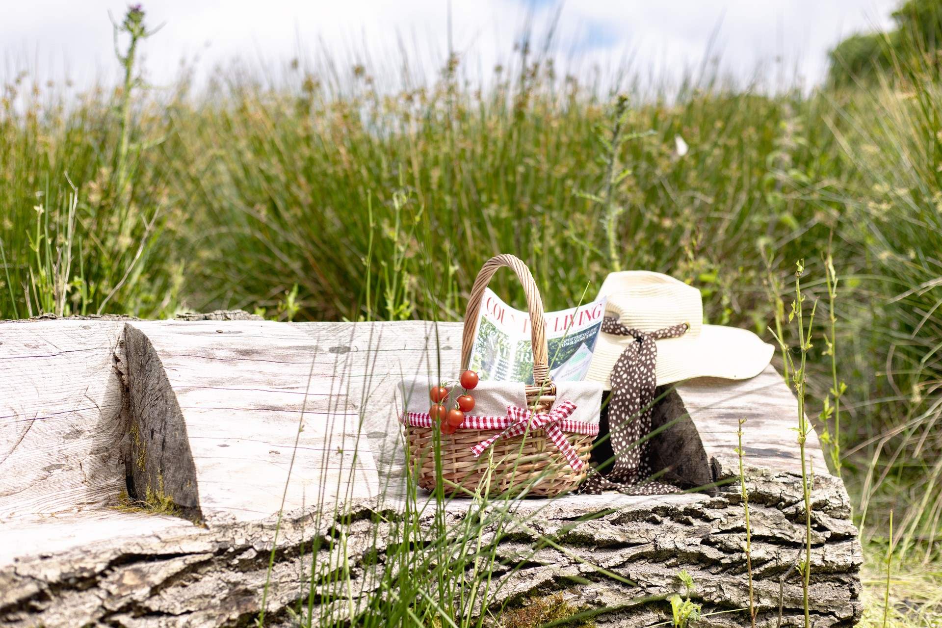 Beautiful countryside surrounds your holiday abode.