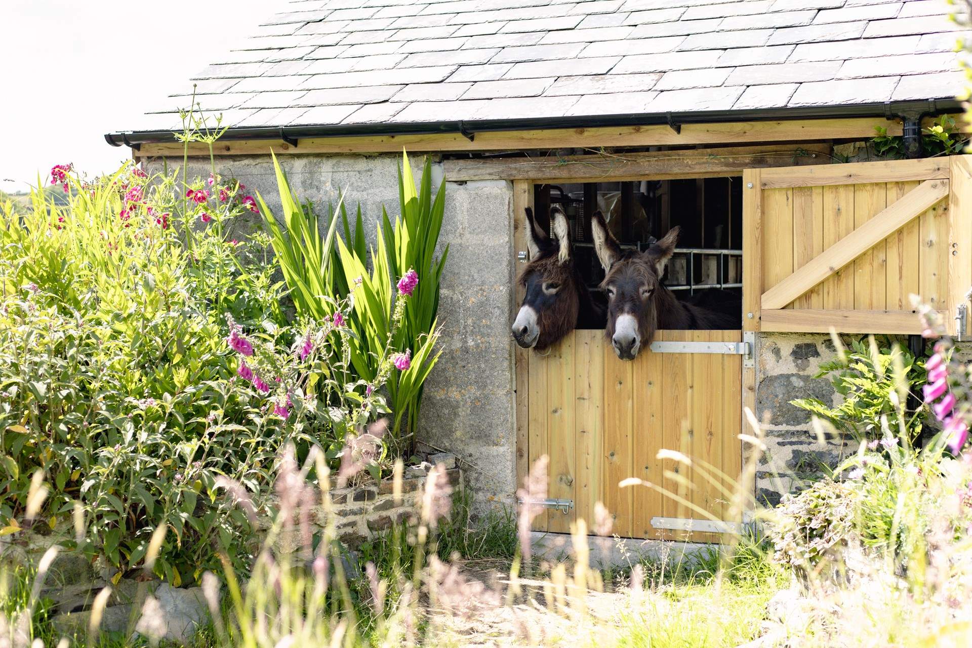 You have the best welcome party awaiting your arrival.