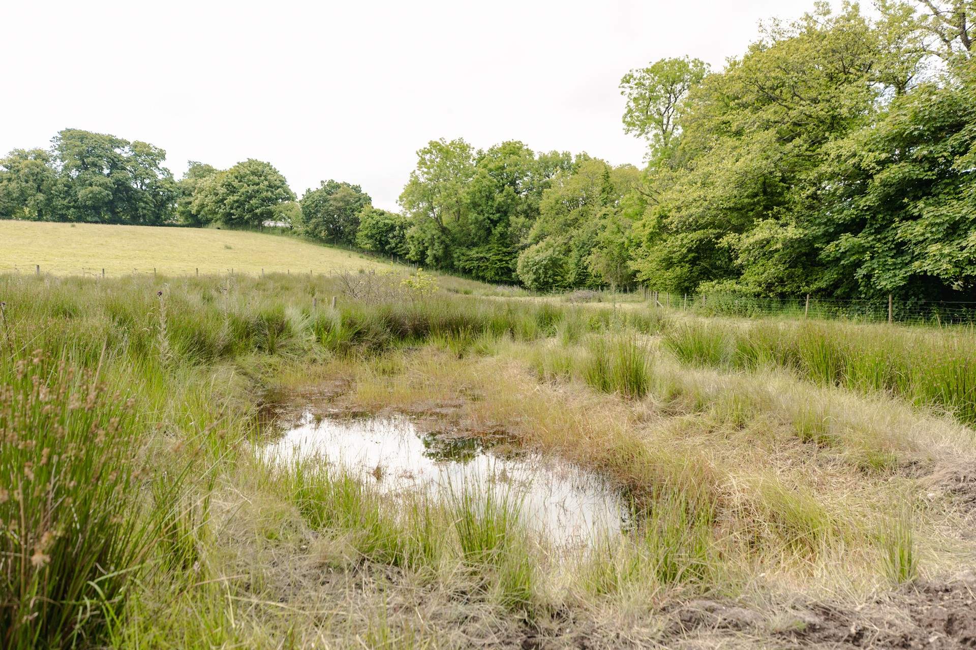 The extensive farm awaits your arrival please be sure to explore far and wide.