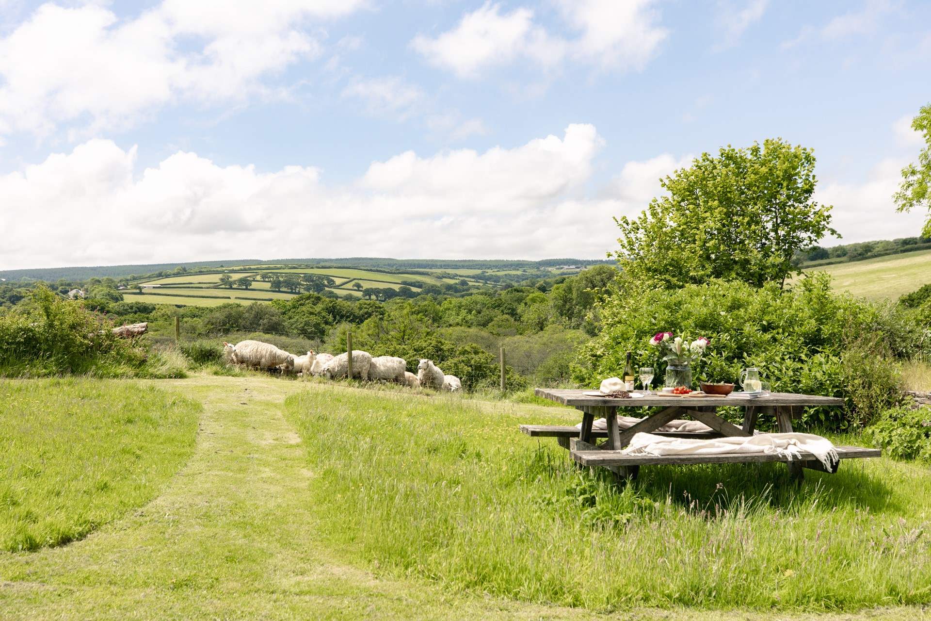 Just a short drive and you can discover the north coast of Cornwall and surf the waves.