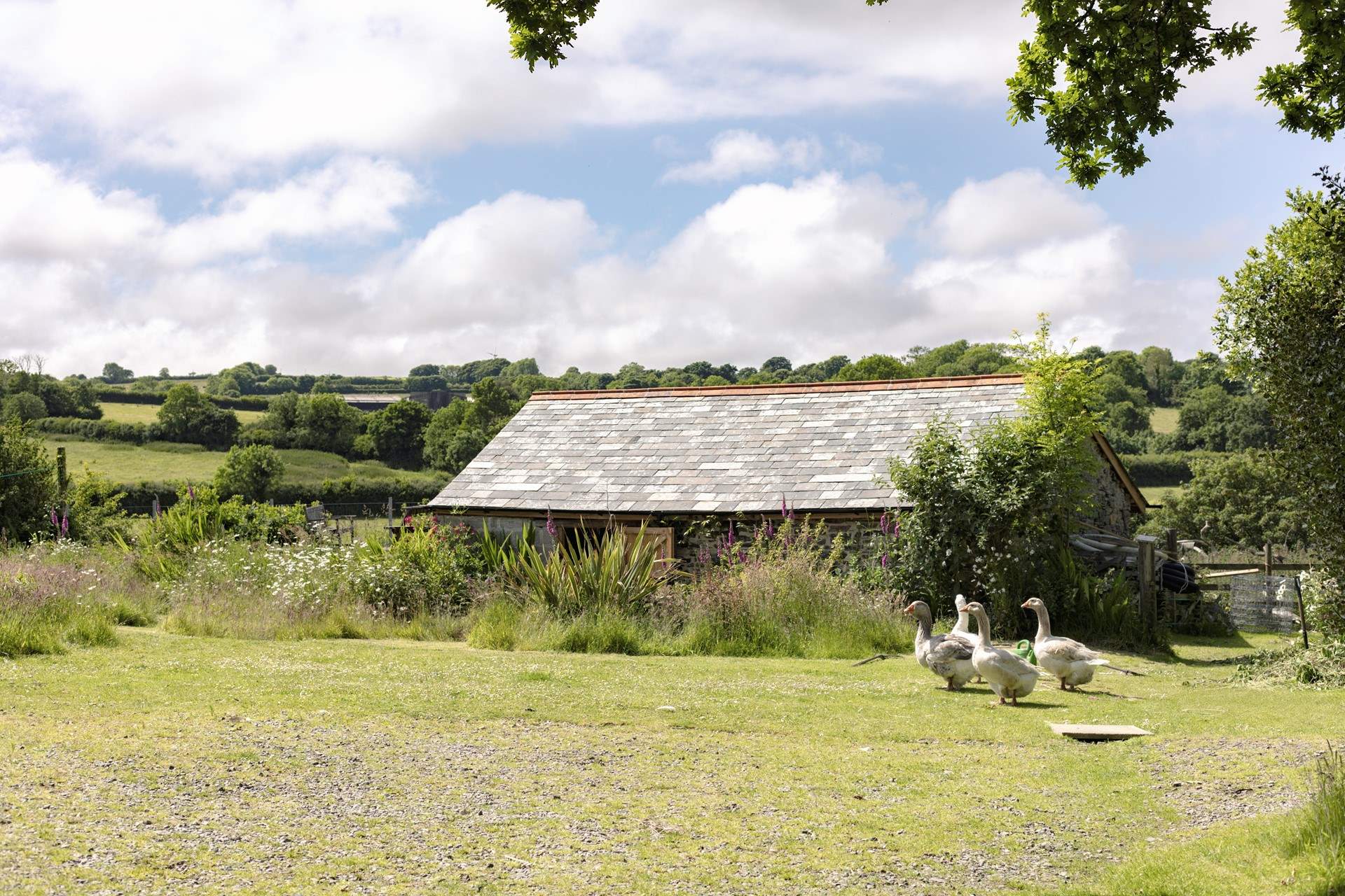 Your rural surrounding is picture perfect.