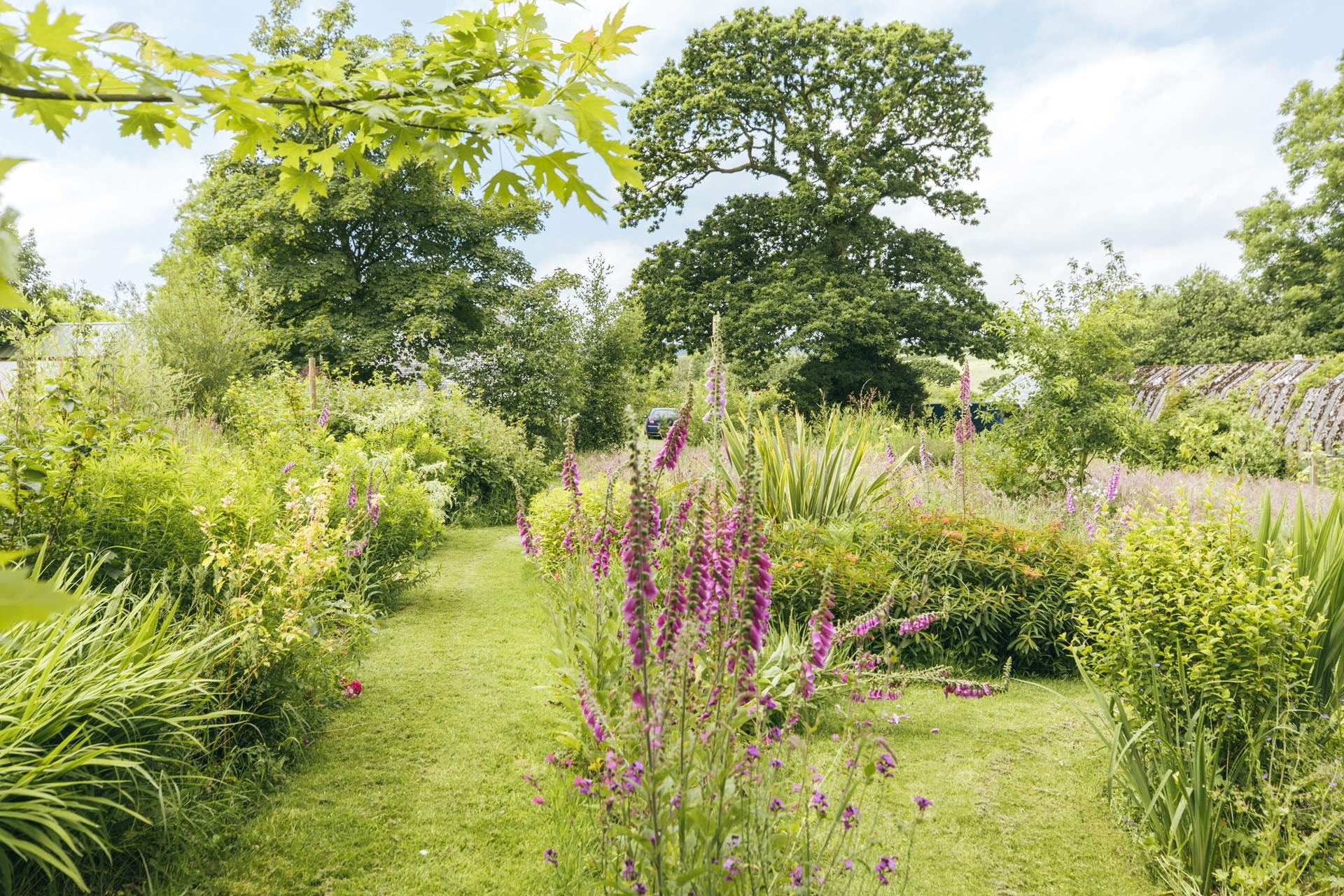 Take time to explore your beautiful surroundings.