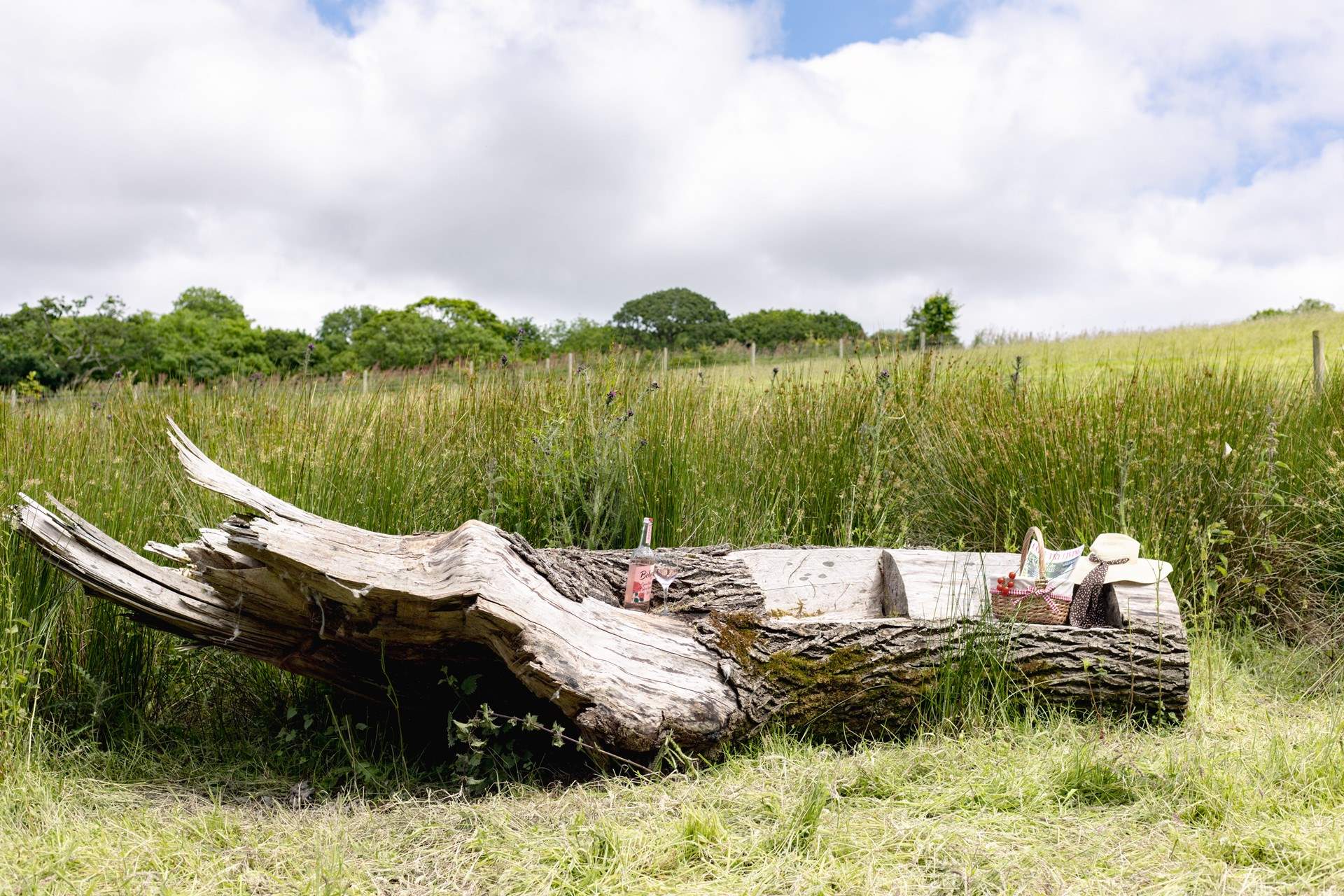 Rest a while and immerse yourself in nature.