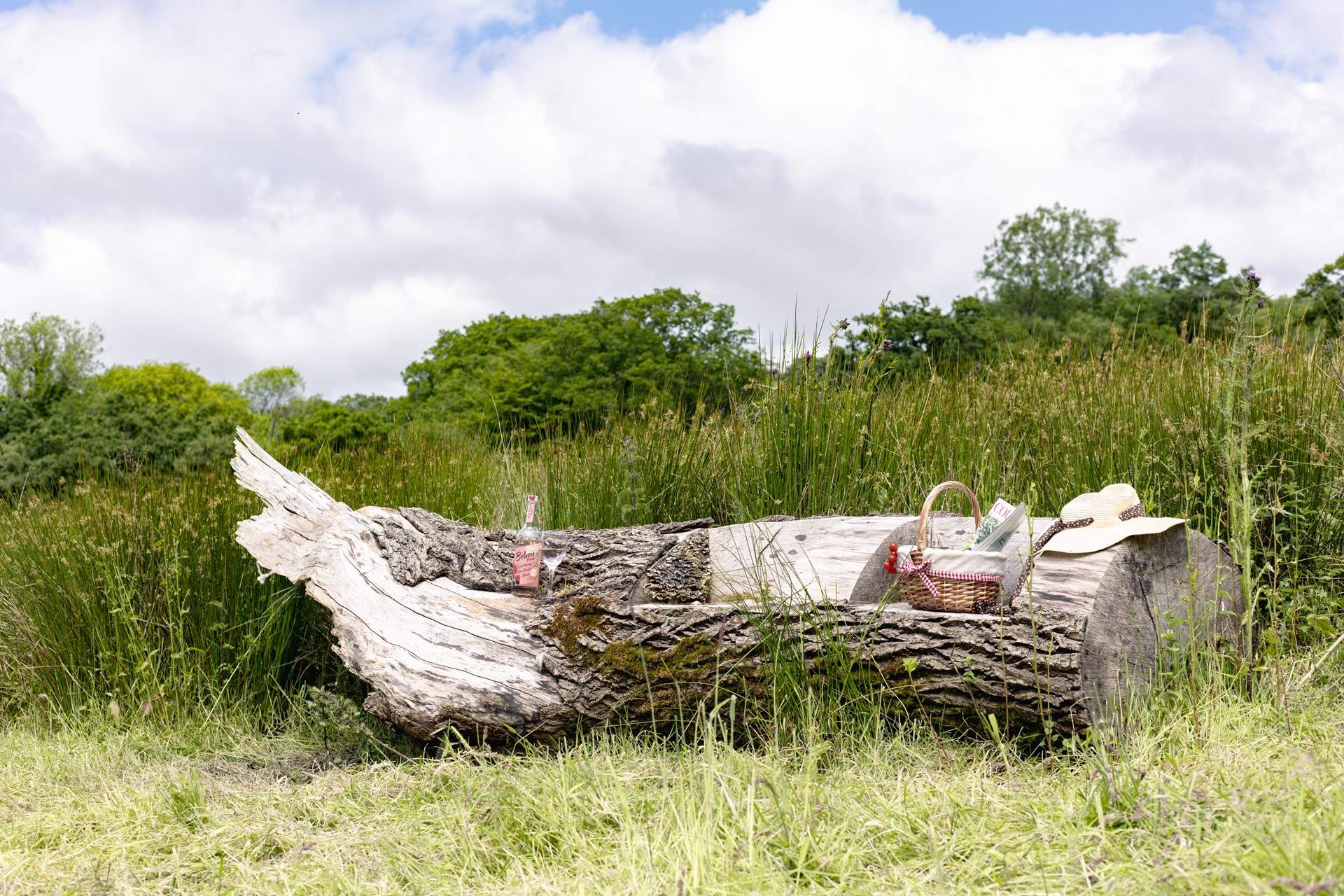 When staying at Little Tregerry you have nature all around for you to enjoy.