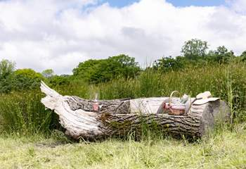 When staying at Little Tregerry you have nature all around for you to enjoy.