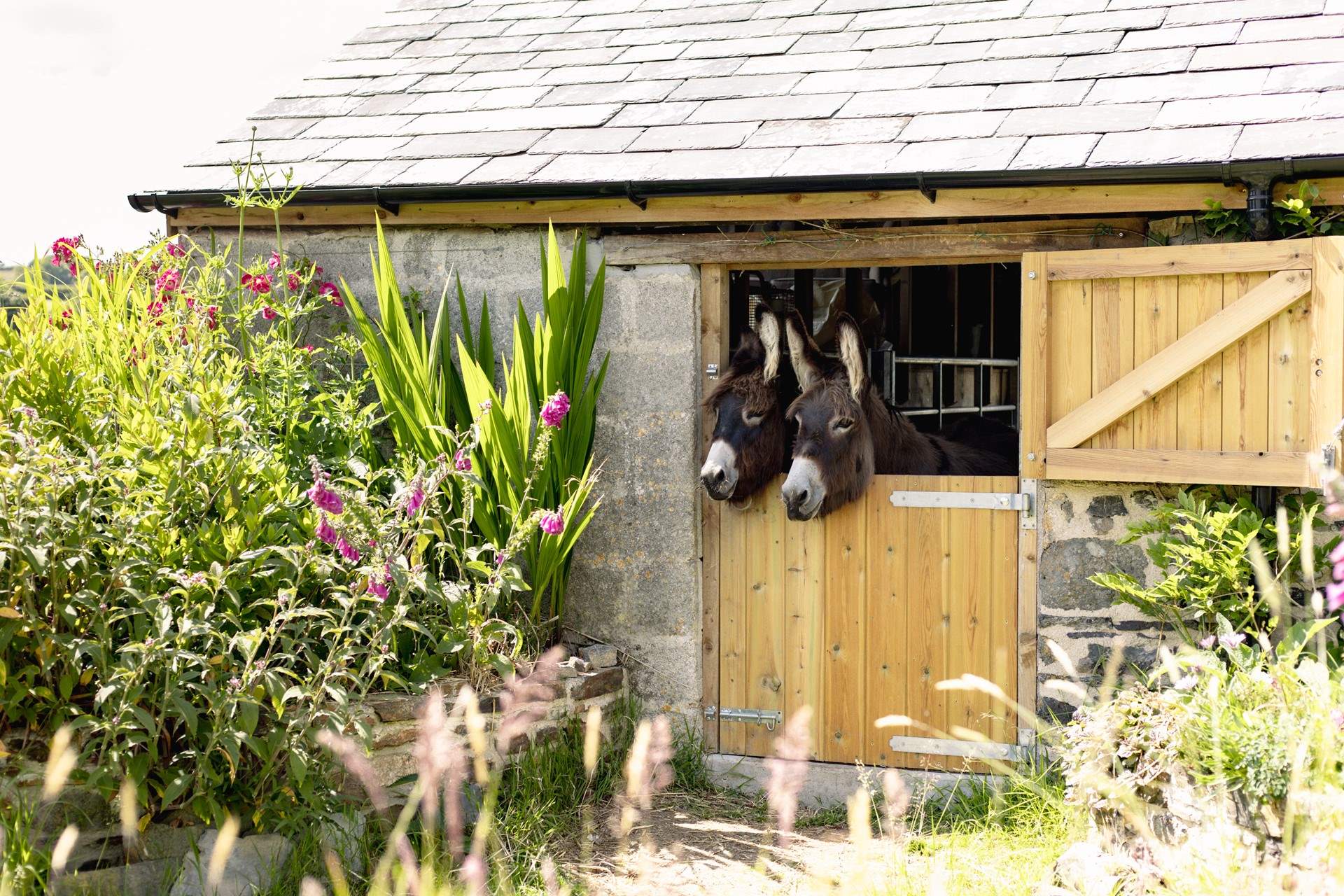 Come and meet residents Marigold and her daughter Millie.