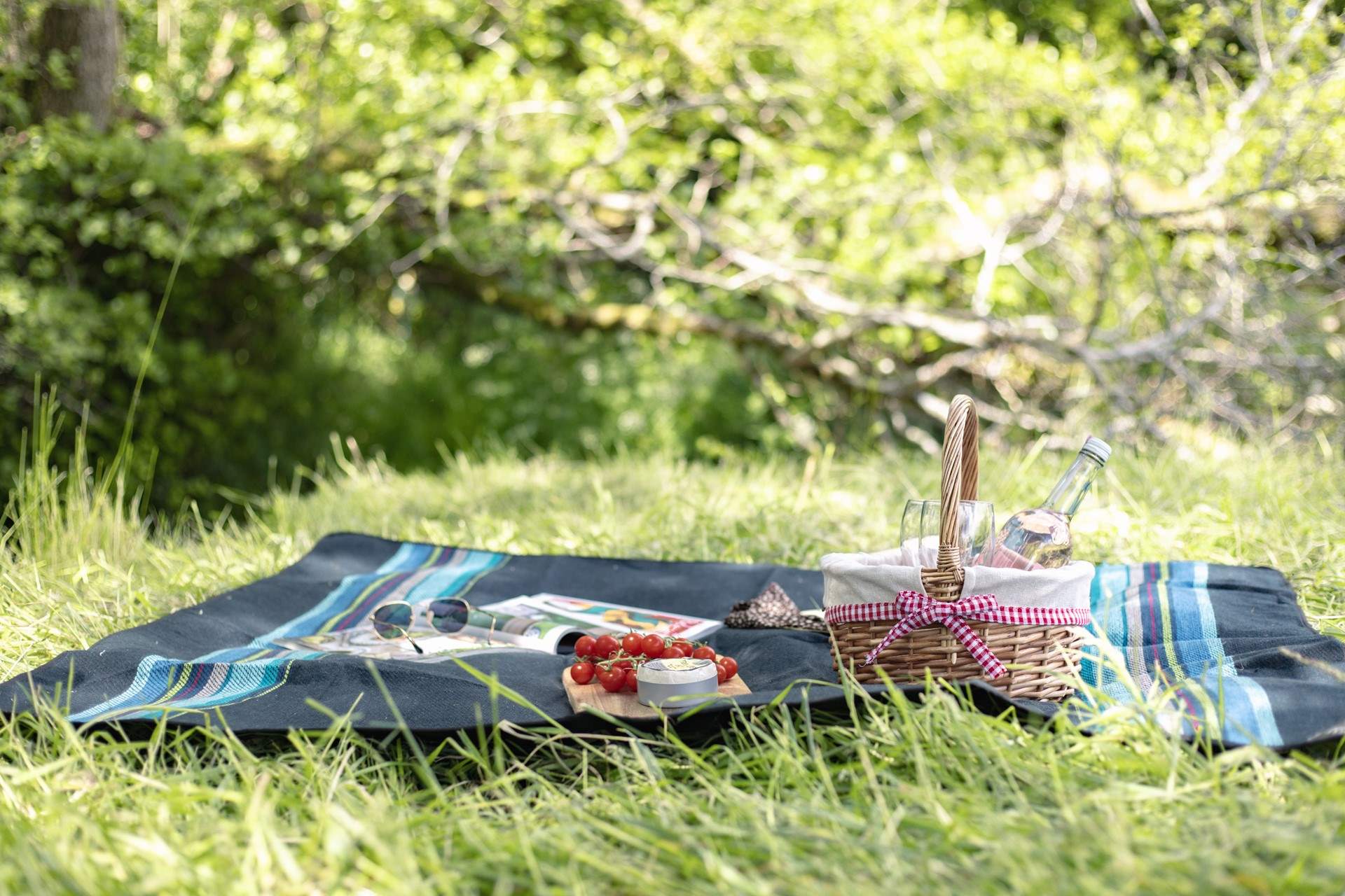 There's plenty of space to enjoy a picnic in the sunshine!