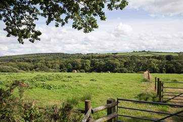 Uninterrupted countryside views from every angle within the grounds of Hope Farm.
