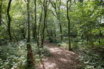 Your own private woods. Not many holiday venues can boast such a thing. Hope Farm and its grounds are second to none.