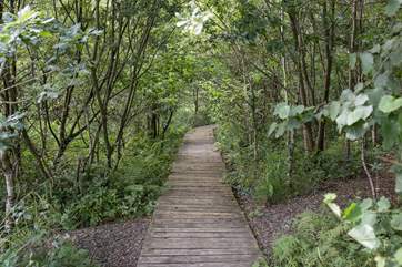 Hand-made and highly maintained boards make walking through the woods a real pleasure. However please take care when wet as can be rather slippery.