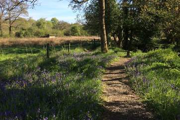 The path which meanders through the grounds is bustling with stunning colour and life.