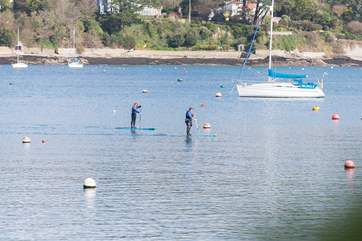 Paddle boarders out on the water...there's always something to watch, even in winter!