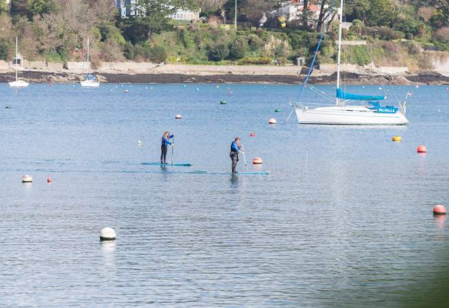 Paddle boarders out on the water...there's always something to watch, even in winter!