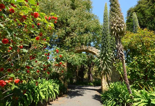 Ventnor Botanic Gardens are a delight throughout the year. 