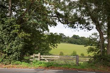 The rolling countryside.