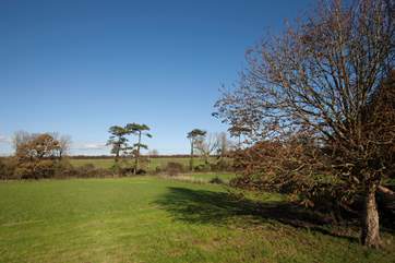 Put on the walking boots and take a walk through the beautiful countryside.