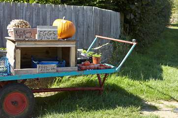 Local produce for sale in Wellow.