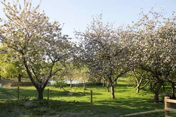 Set in naturally landscaped grounds, the pond is not enclosed so take care with younger children.