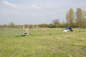 A fully enclosed dog exercise-area which you are welcome to use.