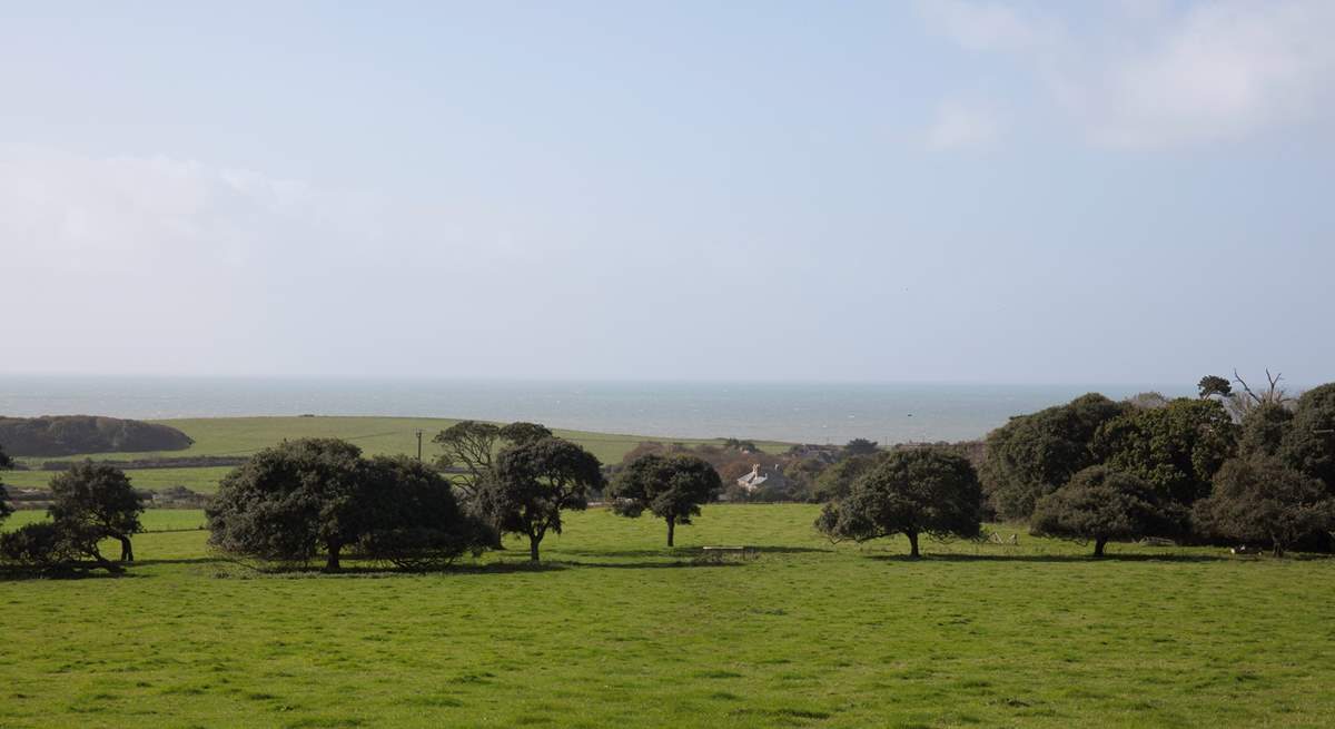 Put on your walking boots and go on a lovely country walk.