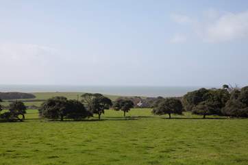Put on your walking boots and go on a lovely country walk.