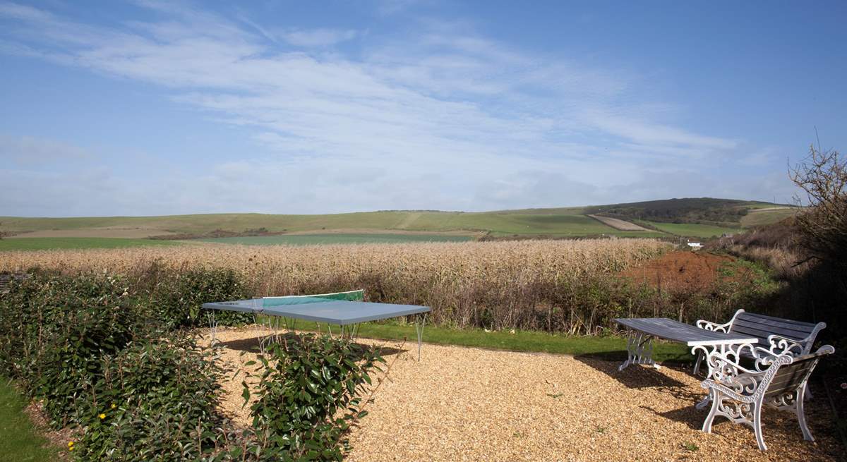 Play some outdoor table tennis in the sunshine.