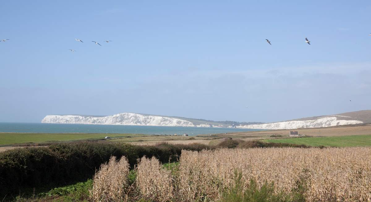 Look out to the gorgeous white cliffs of the Isle of Wight, a remarkable scene can be appreciated from the dining-room and kitchen.